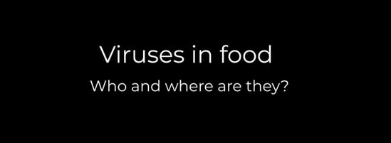 Viruses in food, Who and where are they? video thumbnail
