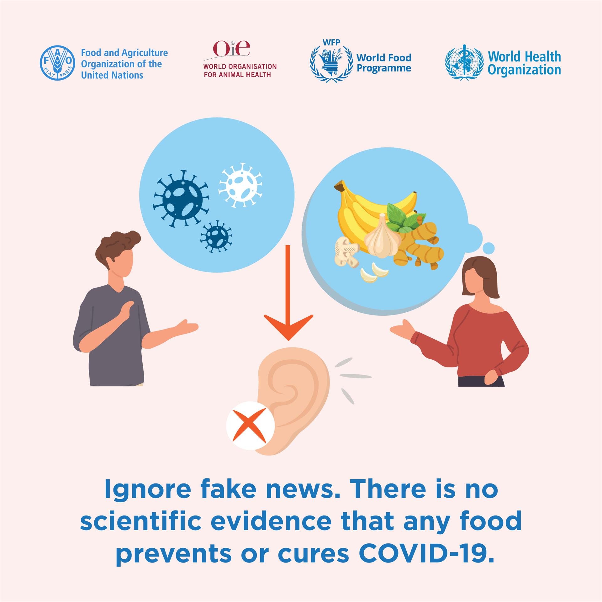 200511_FAO_Social media_Instagram_V19_no6