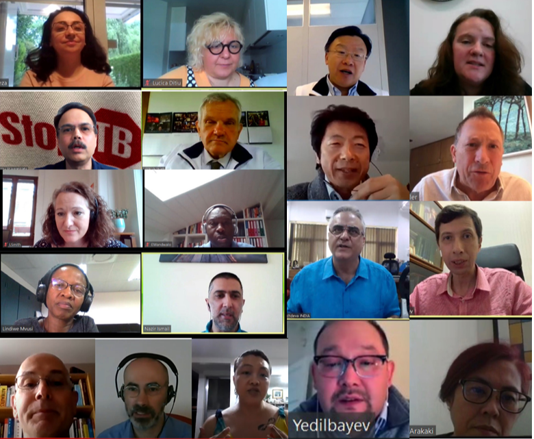 Screenshots of the webinar