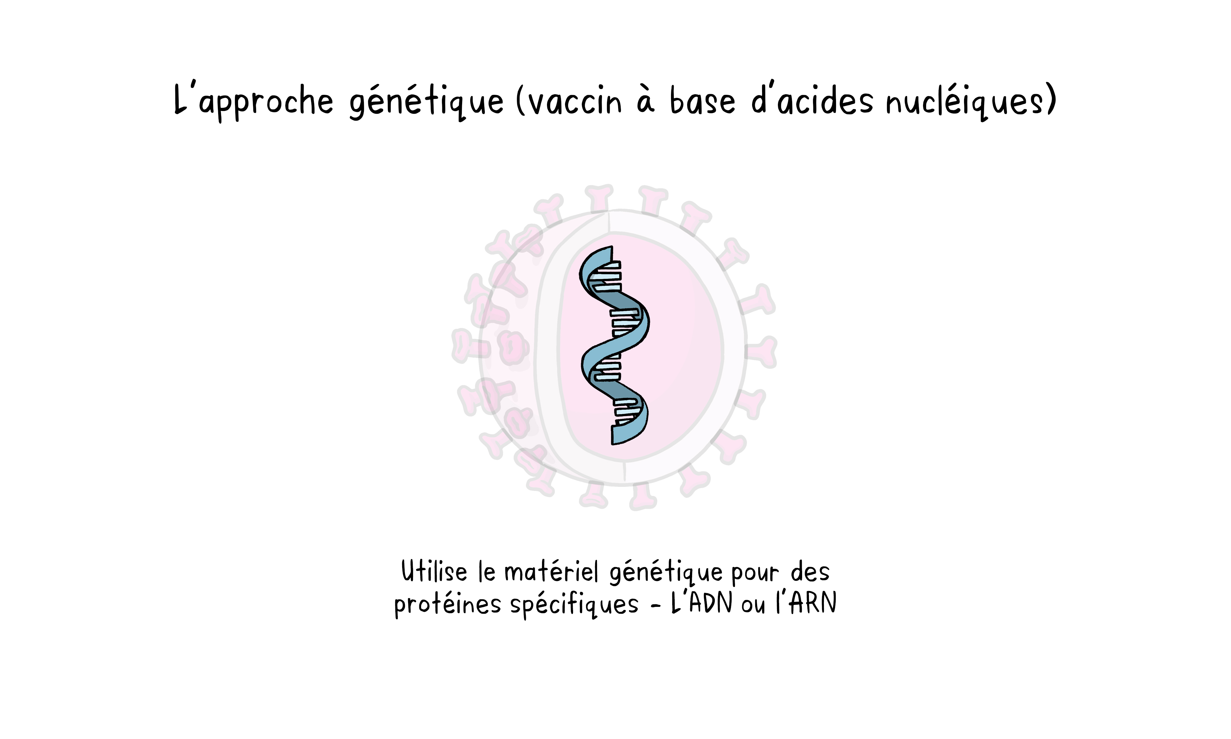 L'approche génétique