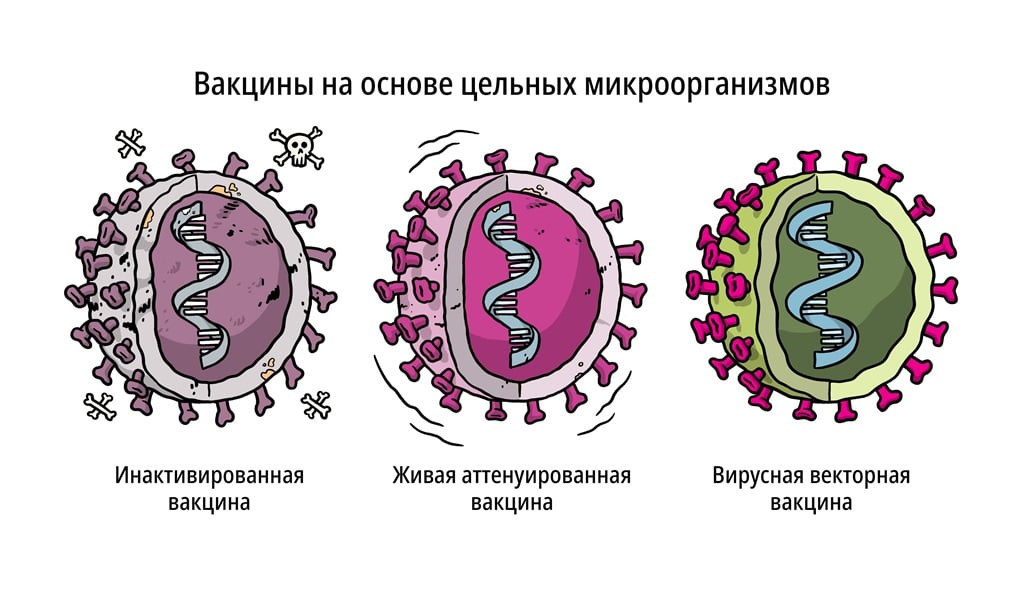 Вакцины на основе цельных микроорганизмов