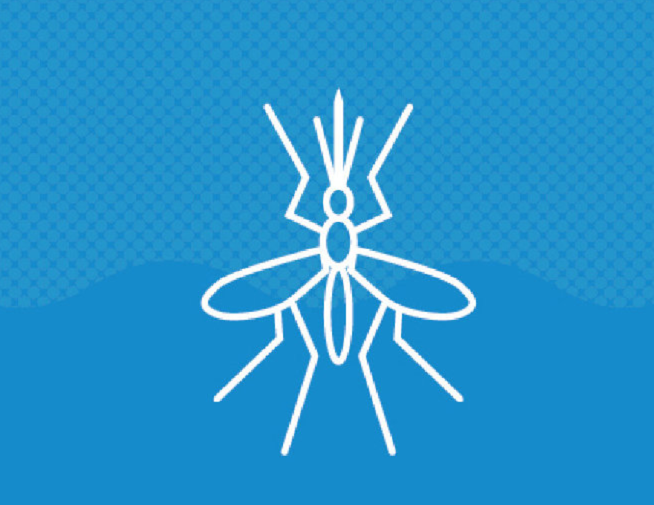 Malaria2